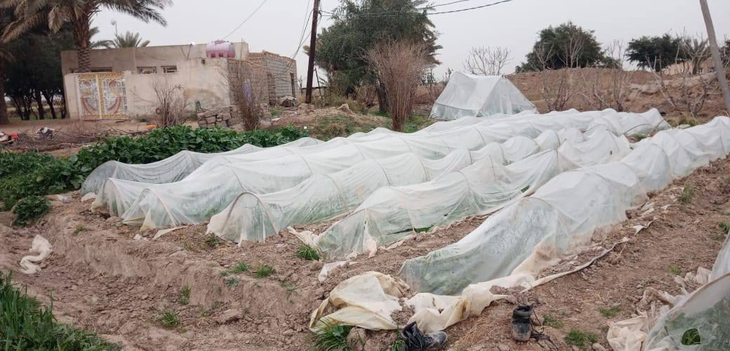 السلام عليكم
ارض زراعيه للبيع تبعد عن الشارع العام طريق دغاره شوملي 
كيلو 
مقابيل صور الشهداء 
 4 دونم طابو زراعي 
مزروعه حاليا 
وتحتوي على أشجار التين والرمان  و70 نخله حمال وانواع النخل  ارض زراعية فوك الجيد وكاع معدله صايره على جتف النهر صايره مباشر النهر رئيسي 

وماطورات كهربائيه عليها 
مايها نهرين من الجذول والضلميه طريق رسمي مع اساله 
من ضمنها بيت صاله 11متر وغرفتين نوم مع توفر كامل ملحقات البيت.

للاستفسار واتس اب او الاتصال 
***********
