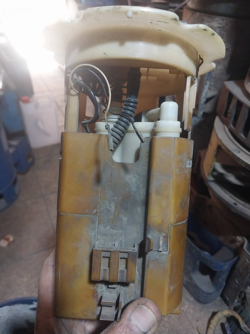 للبيع قاعده سني يابني اصلي السعر٥٠ 
الف بي مجال ***********
