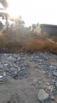 الحر الصغير • ١٠٠م • سند ٢٥ أصولية