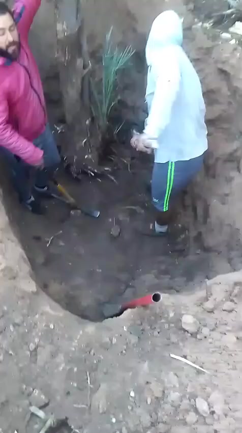 الي عنده لاط بناء حفر سبتتنك اي شي خادم لاتصال***********
