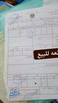 ١٠٠م • حي الغدير • ماء كهرباء مجاري