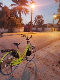 باسكل • موديل ٢٠٢٠ • نجف