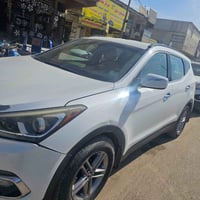 سنتافيه ٢٠١٨ • وارد أمريكي • رقم بابل