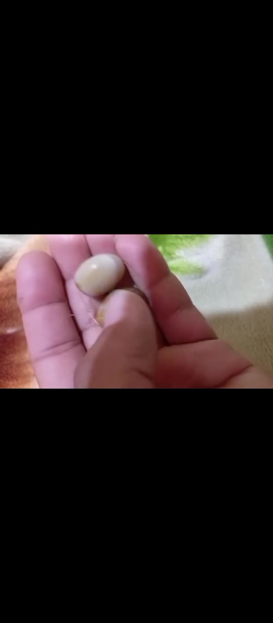 سليماني معطف محبة عامة ورزق ما شاء الله.. استفسار واتساب ***********  بصرة
