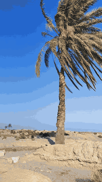 سلام عليكم ستوته لبيع موديل 25شهر 10سعر 3ملاين وبيه مجال اتريد هيه والقراض تريد وحده مكاني بغداد نهروان ***********
