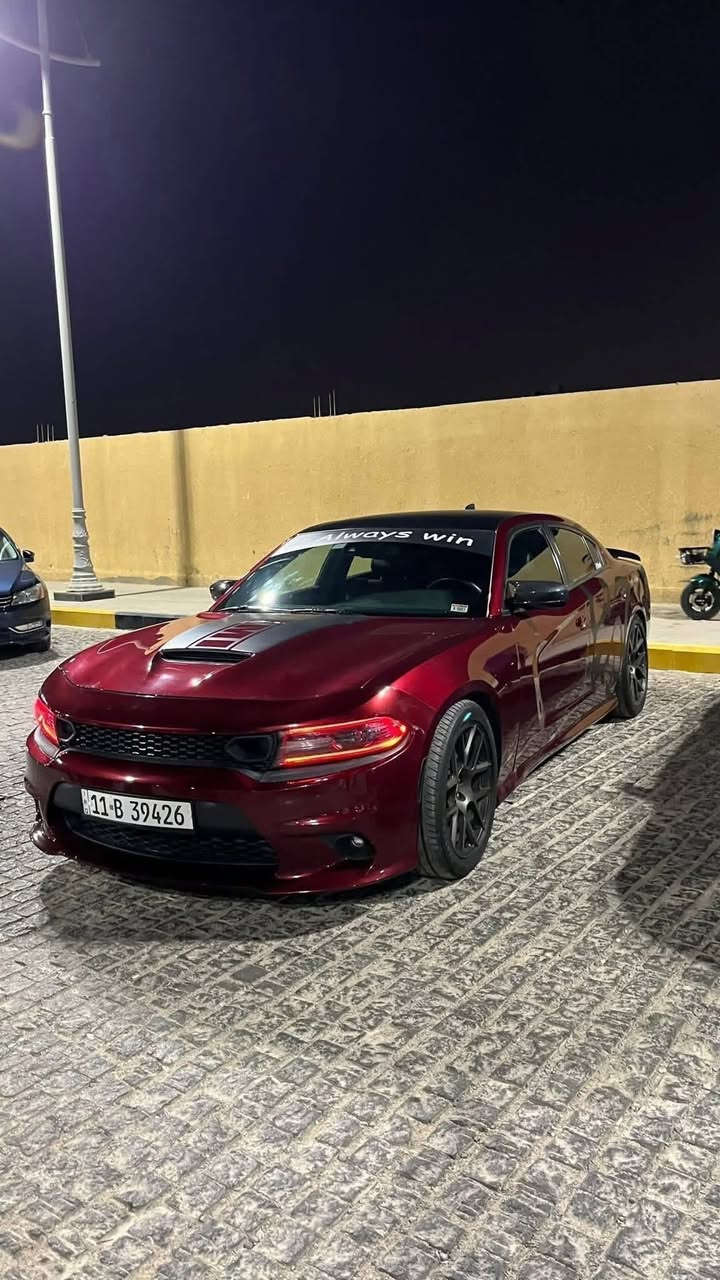 جارجر دايتونا RT 5700 فول عدا الفتحه للبيع
السلام عليكم اخوان من انضف الجارجرات بل بصرة السيارة فول للاخير واتحدى 2017 ب نضافتها ماشيه {55 } الف فقط حقيقي 

السياره كشنات حضن كنتاره وجلد تدفئه وتبريد

كشنات خزن ميموري

ستيرن تدفئه وتبريد

رادار ونقط عمياء على كل السياره

كراسي خلفيه تدفئه تبريد

صوت سماعات الباين 

تختيم دايتونا على كل السيارة 

ملاحضه مهمه : السياره تجي بنيد فتحه بلادي عكس ال RT بموديل 18 وجوه يحدثون البنيد مالتها هاي بلاد فتحه من الشركة  

السياره حادثها كلش تافه جاملغ امامي + جاملغ خلفي فقط بدون ايرباك شرط ويلات دايتونا بلاد مالتها تايرات خلفيه بيرلي 

السياره تجي شوته رياضيه بلاد مال دايتونا وعليها اويل كاج كان هم { محرك كير كفاله بشرط بدون فتح بدون اي شي على وضع شركة }

السياره بديها نضيف كلش اخت ال 2020 وفوك ومعتني بيها كله محسن ودهن اصلي 

السياره عليها تزويد 

تفريغ وبرمجه 

عليها SLP

عليها دبات اجتي بور تفتح وسد صوت ريمونت

عليها برمجه مصطفى ايكل

عليها اكسل قفل مال SRT يعني تفر تايرين براحتك

السياره مختفه وشم دايتونا وهيمي

السيارة رقم بغداد مكانها بصرة ياسين خريبط

*********** واتساب واتصال

السعر : 217 بيها مجال
