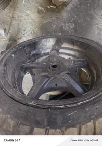 ويل عريض سكنس فحل نثيه ولد السعر 100 قفل قفل  اتصال 07768388139 ابو دش...