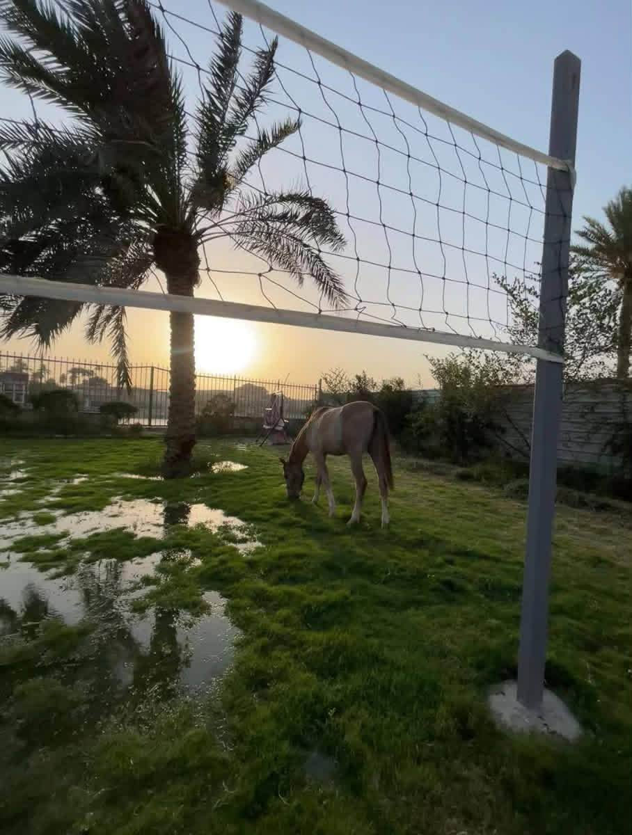 مزرعة الزعفران الشاطئية
متوفر حجز اغلب ايام الاسبوع موثق في تطبيق اجرلي إطلالة شاطئية على نهر دجلة🏖️  
العنوان : الزعفرانيه نهايه شارع الربيع مجاور مصنع ببسي بغداد 
للحجز والاستفسار الاتصال او التوصل واتساب : ***********
***********
