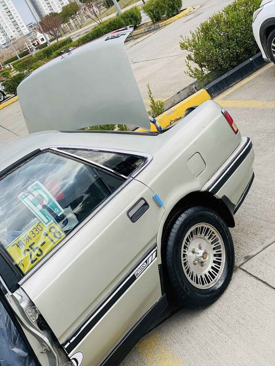 ‏‎بــــــــۆفـــــرۆشـــــتــن
‏‎ماشالله نمونه ي جواني 🪬 
‏‎سعري٣١  وەرە قه مه جال 
‏‎📦جۆری سەیارە /مـــــازدا 
٦٢٦
سنوق
‏‎ئارمي پلاستيک
غه رامه به شه رت 👍
‏‎مه كينه ى ۸ به خ
گيروو مه كينه ي تازه زور پاك
به شه رت 🦅🌹
ره نگ برونزى
‏‎مؤديل /١٩٩٠
‏‎گێڕو مەکینەی مه زبووت
‏‎گه رمي كارةباي كامل مةزبووت 
‏‎٤ جام كاره با
‏‎پيش وپشت و شاني كةپسه
‏‎هه يكه لي جوان ناوي ده ره جه يه ك
‏‎سيدي ئؤكزبلوتوز
‏‎کارەبای کامل مەزبوت
‏‎سه ياره كه زؤر جايزوو ريك و پيكه
‏‎به رگه ده رگا و داشبلي لؤكه
‏‎پيشي كامل كراوه به زينؤن
‏‎تاقم تا يه و ويلي سؤپه ر لؤكه
‏‎ئارم/ئه وه ليات/براوه غه را مه به شه رت🌹
‏‎ته نها فرؤشتنه
سه ياره كة  له رسمه كان 
جونتره
***********
***********
