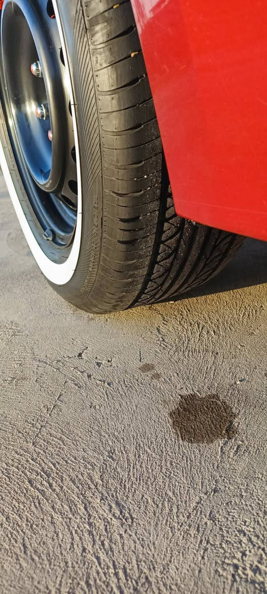 السلام عليكم للمراوس فقط
***********
