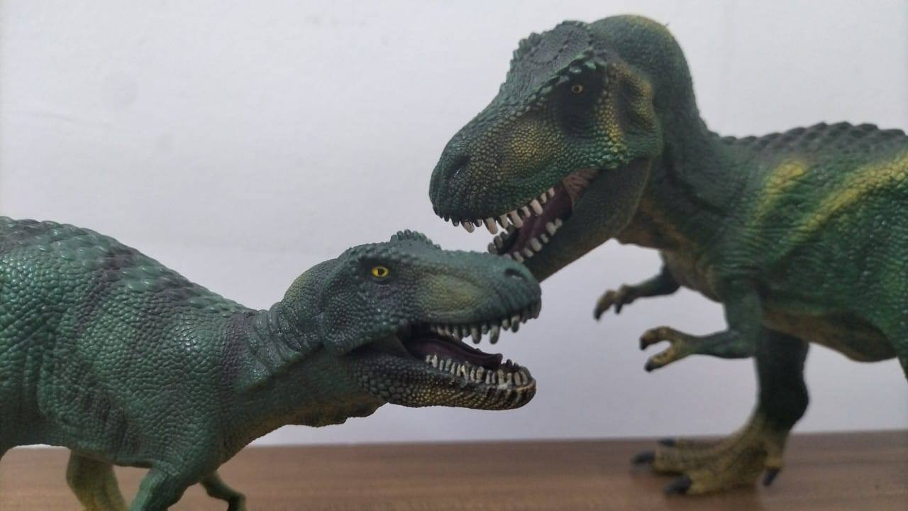 متوفر 👌 مجموعة داينصورات ماركة شلايش وكوليكتا


**إذا كنت صاحب هذا الإعلان وتريد حذفه لأي سبب، رجاءا أرسل رسالة إلى الدعم الفني**