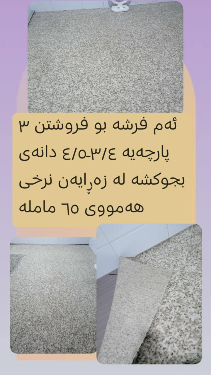 به ناوی خوا 🌺فەرش و گومباری باک و هەرزانت ئەویت فەرموو لە سلیمانی


**إذا كنت صاحب هذا الإعلان وتريد حذفه لأي سبب، رجاءا أرسل رسالة إلى الدعم الفني**