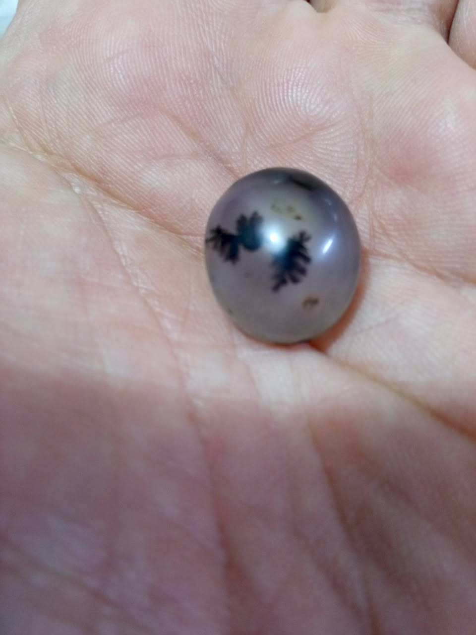 اصحاب الجمله والمزادات ان شاء الله رجعنه بحجار مختلفه وقديمة متنوعه وبكميات اهلا وسهلا ...


**إذا كنت صاحب هذا الإعلان وتريد حذفه لأي سبب، رجاءا أرسل رسالة إلى الدعم الفني**