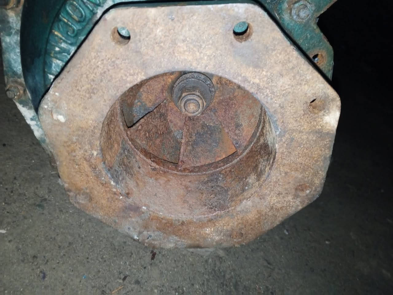 سلام عليكم خنزيره أبو العشره للبيع سعر 100وبيه مجال ***********
