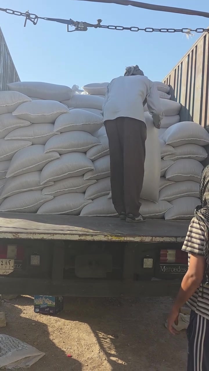 تم بعون الله تعالى وصول حنطه درجه اولى سعر طن ٥٠٠الف ميسان بأدارة مرتضى الجمالي ***********  ***********
