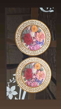 زوج صحون • ٢٧سم