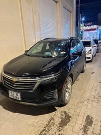 ترافيرس • مصدومة • ابو الخصيب