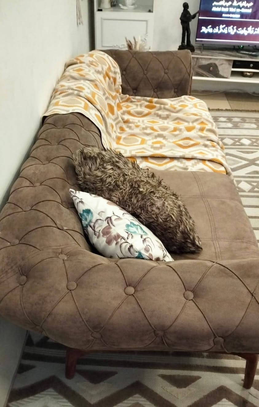 اتصال *********** مكان بغداد تخم تركي 8 مقاعد ثابت نضيف الزوليه بوهيمي للبيع
