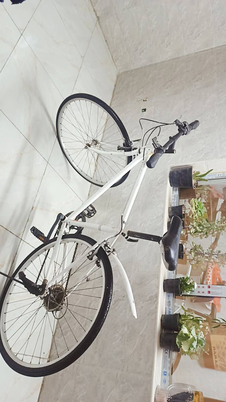 السلام عليكم بايسكل نوع سي 700
نضافه كدامكم السعر 110 بي مجال مكان بغداد مدينة الصدر


**إذا كنت صاحب هذا الإعلان وتريد حذفه لأي سبب، رجاءا أرسل رسالة إلى الدعم الفني**