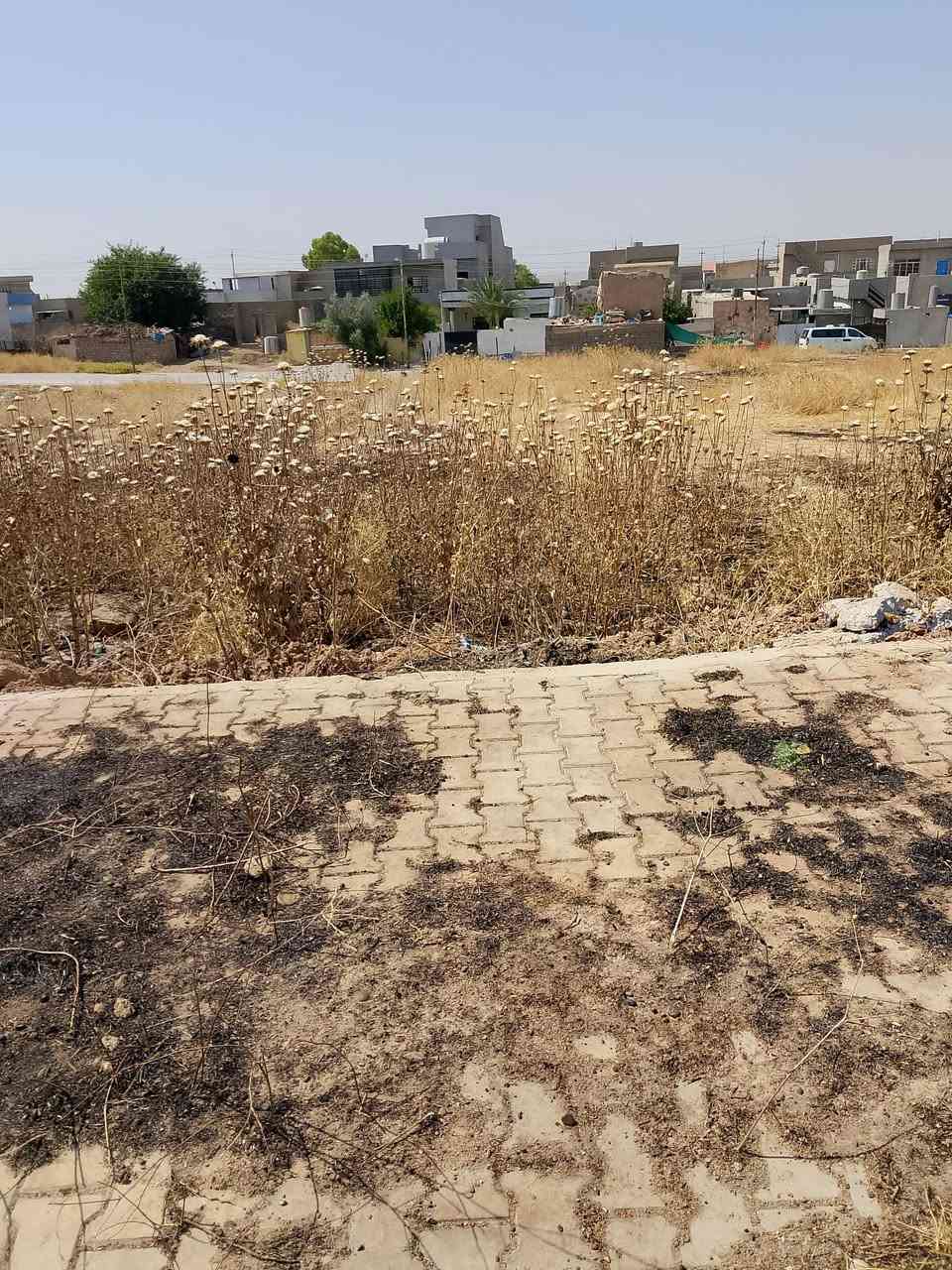 قطعه للبيع  يم بيت يوسف حسان بحي تنك 200م ع طريق حوالي حي تنك سعرها 12مليون كامل خدمات تبيلط
***********
