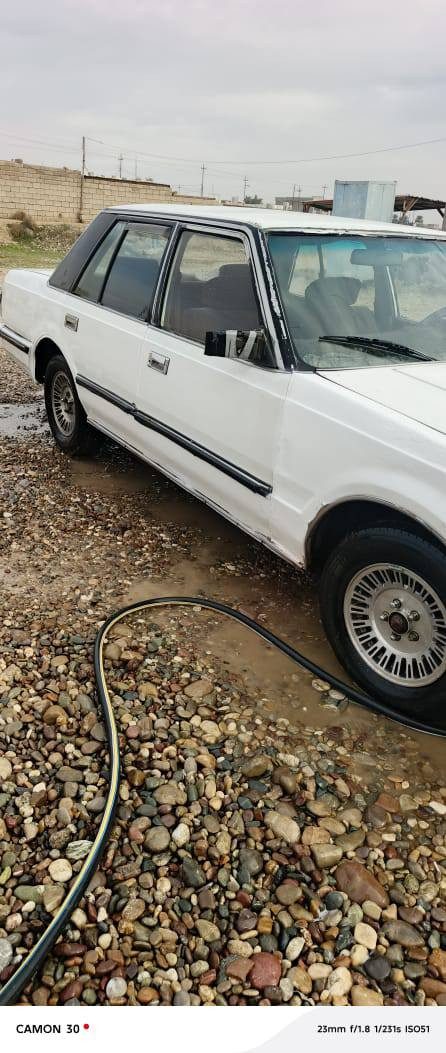 السلام عيكم
سوبر رسمي العراق نينوه سنويه بيضه  شرط التحويل للبيع او مراوس
موديل 1984
كير. عادي  محرك اصلي مال سوبر .   صدر.   تواير. حيل زينت 
سعر 22 وبيها مجال 
مكانه صلاح الدين بيجي
***********
