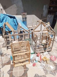 أقفاص • بلبل • طيور الحب