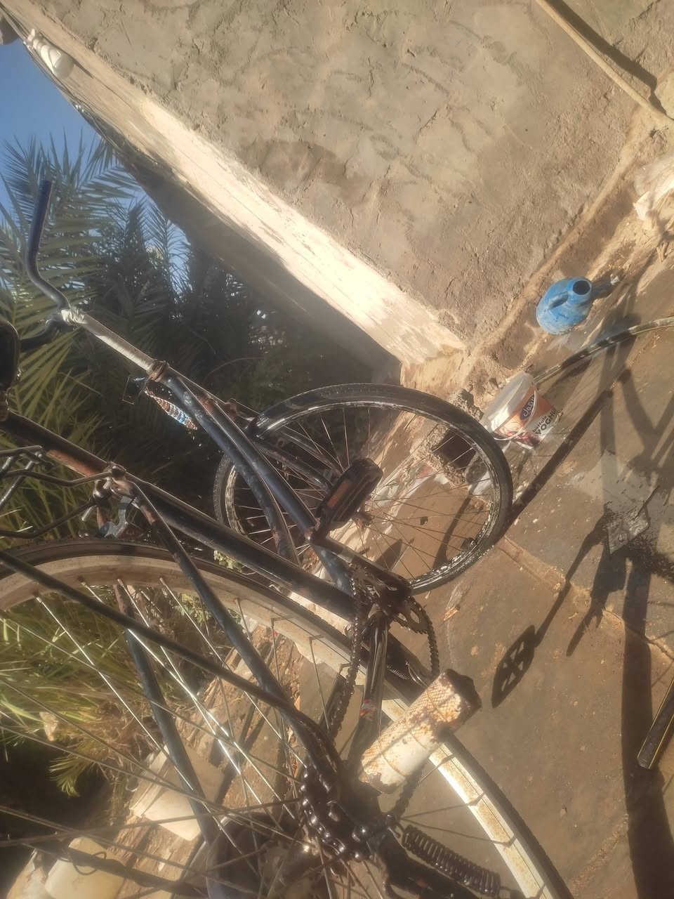 سلام عليكم اخوانه عدي هاذه الباسكل للبيع بيه لحيم من اللشه قيم وخذ ما احط سعر مكان شطره


**إذا كنت صاحب هذا الإعلان وتريد حذفه لأي سبب، رجاءا أرسل رسالة إلى الدعم الفني**