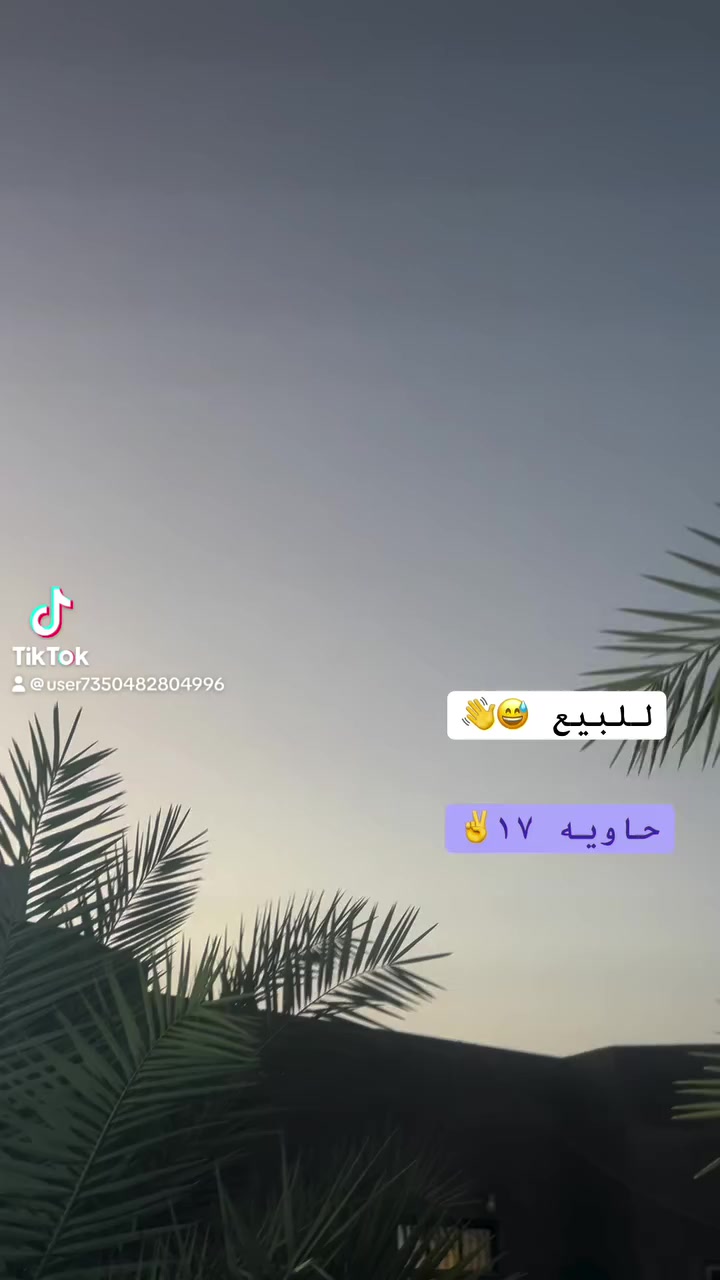 بيسكل للبيع حاويه 17غراضه كامله


**إذا كنت صاحب هذا الإعلان وتريد حذفه لأي سبب، رجاءا أرسل رسالة إلى الدعم الفني**