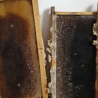 متوفر نخاريب نظيفة  سعر المفرد 3000 سعر الجملة 2500 07717156721