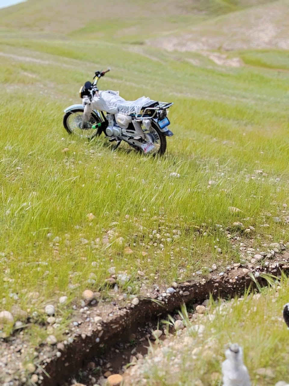 للبيع ماطور نامه برو موديل 2026 السعر على هذا الرقم***********
