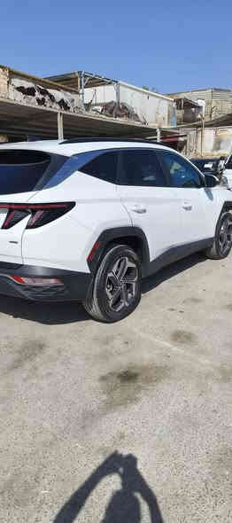 السلام عليكم للبيع فقط
هونداي توكسان   موديل 2024
لون ابيض وارد امريكي
 مواصفات السياره فول 

✅بصمه 

✅فتحه سلايد روف

✅كشنات جلد اسود ملكي 

✅شاشه كبيره + كامره دوراه 

✅كشن السائق فول كهرباء

✅تشغيل عن بعد +إطفاء ذاتي 

✅رادار امامي وخلفي وجانبي 

✅جنطه كهرباء

✅كشنات تدفئه

✅تحكم ستيرن +قياده ذاتيه 

✅ويل كب كروم حجم 19 

✅مكينه 2500 

✅بصمه أبواب + اشاره ترحيب عن الاقتراب 

✅داخل لونين

✅تبريد قطعتين
✅ توقف ذاتي 
السياره ماشيه  13 mi زيرو 
وباقي المواصفات المعروفه 
حادث موضح بصورة غشم جاملغ وخشم باب فقط وباقي كفال . .... 
سيارة 🚗 حاليا ب عمان الحرة تدخل بسم مشتري حرة او كتاب شهداء، عنوان 
شارع فلسطين قرب نادي تركمان شركة ناقل الفضي استفسار، ***********
سعر 162 حره
