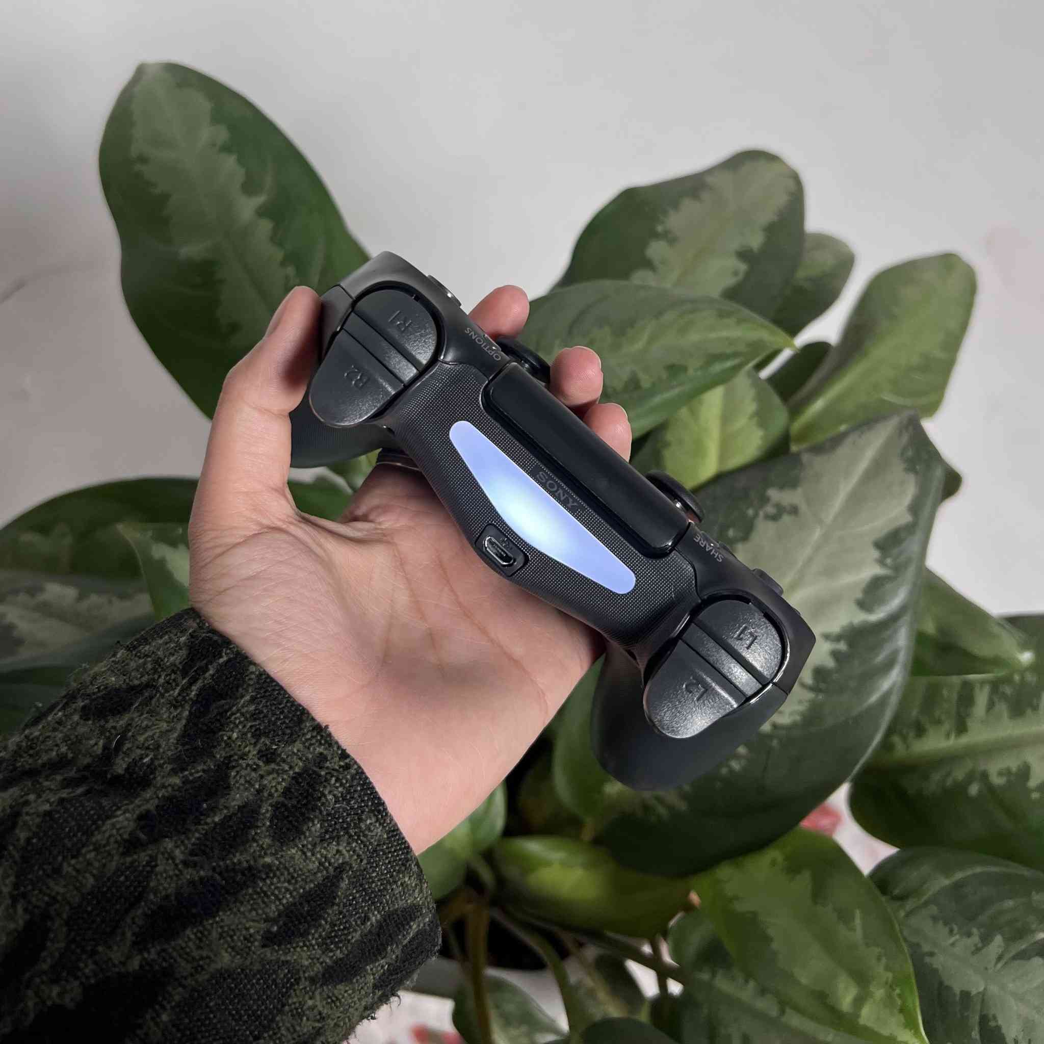 يدة تحكم سوني بليستيشن 4
السعر 30الف مع التوصيل

متوفر قطع خير من الله


**إذا كنت صاحب هذا الإعلان وتريد حذفه لأي سبب، رجاءا أرسل رسالة إلى الدعم الفني**