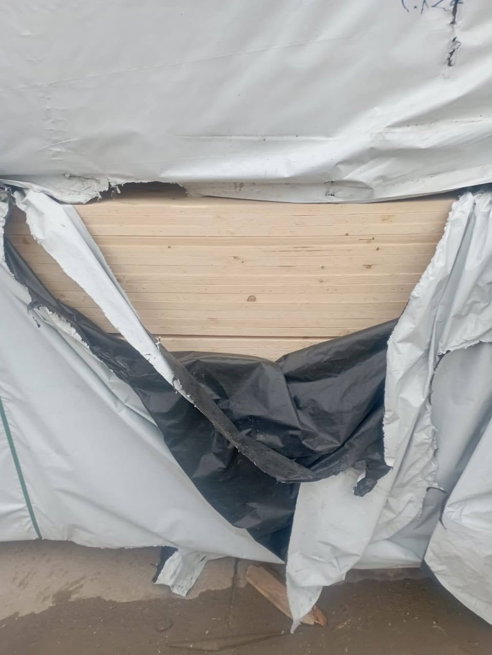 مجمع الاصدقاء لتجارة الخشب
العنوان فلكه البوعجيل باتجاه الدور

***********
