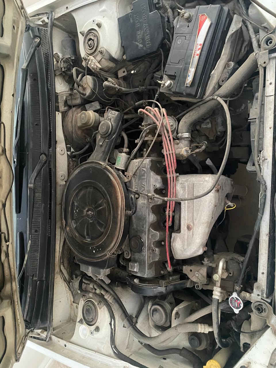 كيا كروسيدا
موديل 95
گير اوتوماتيك 
رقم انكليزي مسطره 
سنويه وهزه جديده 
كابون بانزين
سياره باسمي تحويل ثاني يوم 
كير ومحرك محورات مال مازدا 
زوج تايارات امامي جدد
الخلف نص عمر
السياره بدون ضرر فقط ضربه خفيفه ب باب الوره السكن 
ومرجعه بارد
السعر 35 وبيها مجال بسيط


**إذا كنت صاحب هذا الإعلان وتريد حذفه لأي سبب، رجاءا أرسل رسالة إلى الدعم الفني**
