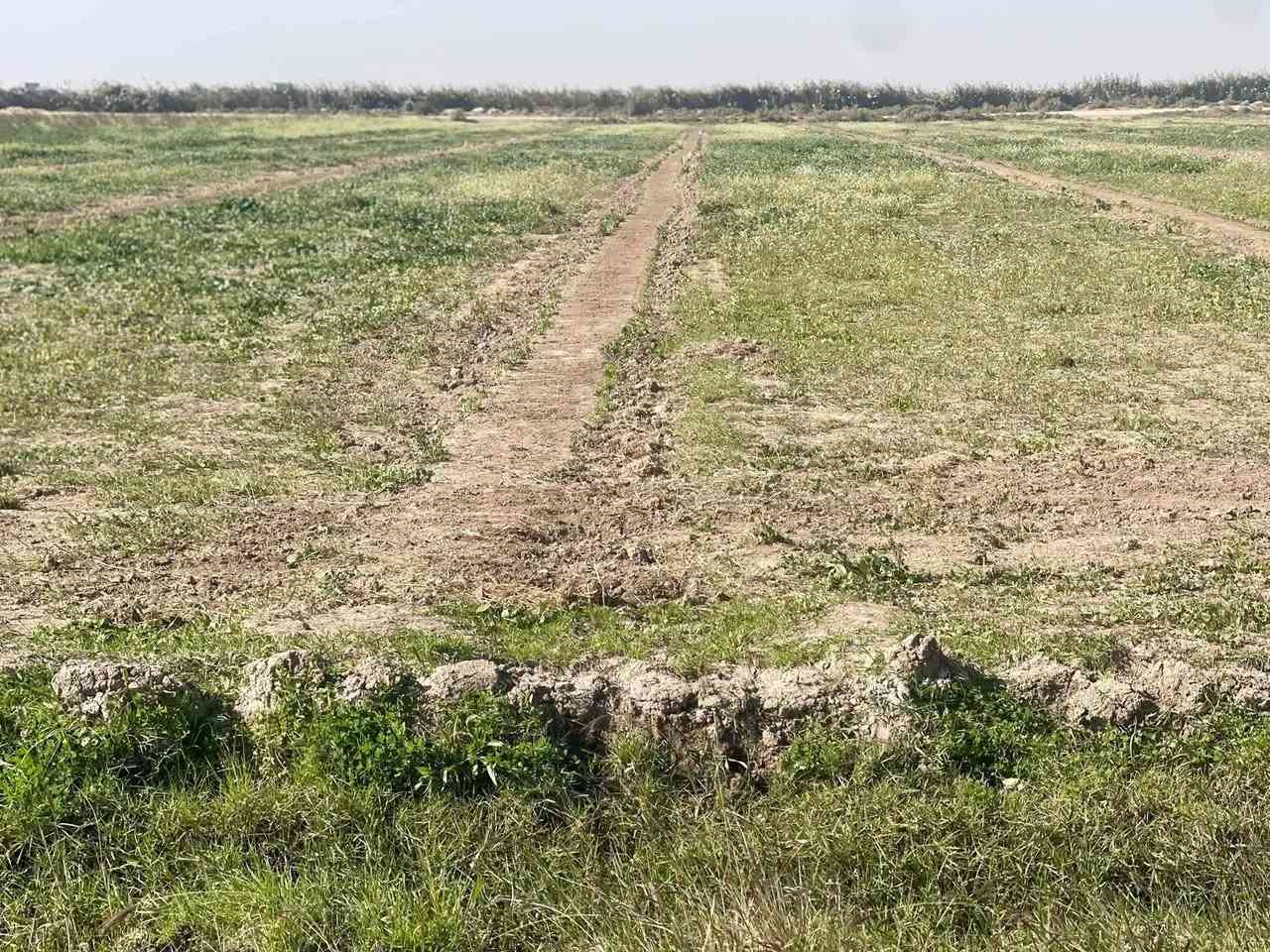 السلام عليكم ارض زراعيه المساحه دونم طابو سند 25 تحويل مباشر حصه ماء سقي اساله كهرباء يبعد عن التبليط والمدارس 400 متر وعن مركز المدينه 5 دقايق مكانها الصويره بدعه حمد سعر 15 للاستفسار على رقم ***********
