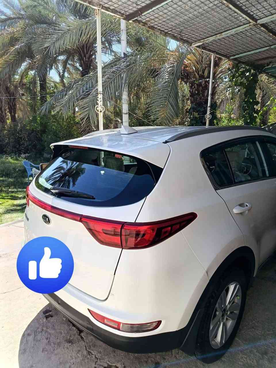 السلام عليكم
كيا سبورتج موديل ٢٠١٨ وارد كندي رقم بغداد دولي الجديد بيها بابين تبديل فقط ماشيه ٦٠ الف كيلو فور ويل مامفتوح بيها برغي .. عدا الأبواب.. مواصفاتها تحكم تدفئة بالكشنات محرك ٢٤٠٠ جي دي اي.. سياره نظيفه جدا واستخدام شخصي .

هزة جديدة

سنويه جديده

بأسمي شخصيا

السعر ١٥٥ ..

االعنوان بابل... حلة وردية خارج
مبايل ***********
