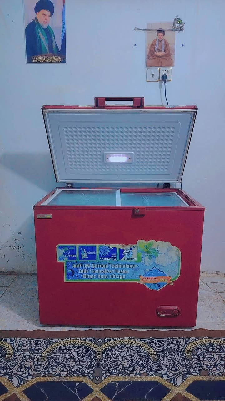 يا الله مجمده حجم 14 قدم نوعيه جنرال كولد  نضيفه فول تجميد تشتغل موولد ووطني سعر 200 مكان كربلاء حي الميلاد للاستفسار ***********
