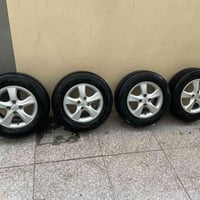 ويل كب اكسنت • حجم 14 • حلة بابل