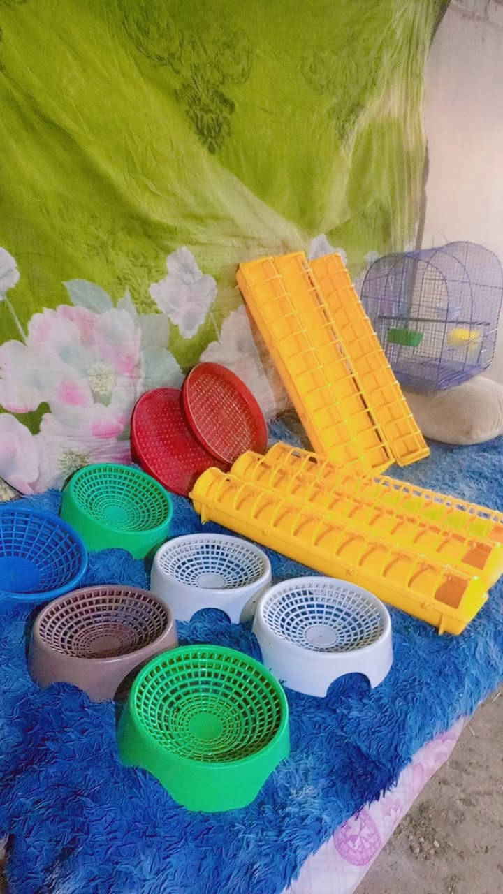 سلام عليكم عندي اشياء للطيور و للدجاج
كلهن نضيف مكاني كركوك سعر خاص مفتوح


**إذا كنت صاحب هذا الإعلان وتريد حذفه لأي سبب، رجاءا أرسل رسالة إلى الدعم الفني**
