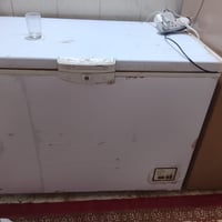 مجمدة • ايگور تركي • تحتاج تصليح