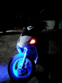 ماكس منغولي • بوشه 55 • معدل