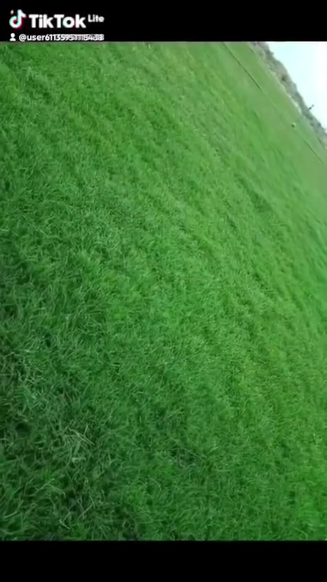 تجهيز كافة أنواع الثيل 
ثيل هندي 
ثيل فرنسي 
ثيل انكليزي 
ثيل ايطالي 
ثيل اصباني
توصيل لجميع المحافظات العراق


**إذا كنت صاحب هذا الإعلان وتريد حذفه لأي سبب، رجاءا أرسل رسالة إلى الدعم الفني**