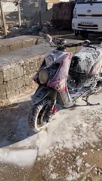 سكنس جبلي • نقوصات • كابريتر