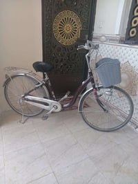 بيسكل • ياباني • ٢٨
