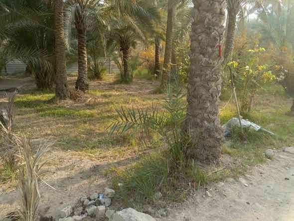 للبيع قطعه ملك طابو صرف المساحة الصافية 300 متر واجها القطعة 14 متر .الحسينية شارع الحافظ تبعد عن الامام 4 كيلو قرب مستوصف الحافظ سعر القطعة 82 مليون
للستفسار اكثر مراسله الصفحه او الاتصال علا الرقم
‏‪***********‬‏ فقط

يتم نشر القطع المضومنه قانونيا علا هاذ الصفحة
