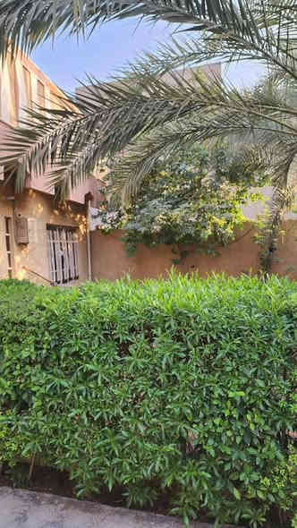 (( بسم الله الرحمن الرحيم))
 🟩 #بيت_للايجار
 ‏🌐 حي الجولان
 ‏🗺️ المساحة 300 متر 
 ‏🛣️  شارع 10 مبلط و مجاري 
◀️ تفاصيل أكثر للبيت  :-
 موقعه جيد. قريب على عددت مدارس و أسواق و مرافق كثيره وقريب على التربية 
2️⃣ بناء مرتب و نظيف جدااا
3️⃣  طابقين ثلاثة غرف نوم ..يحتوي الطابق الارضي على غرفتين و صاله و استقبال مطبخ حار و بارد و طرمة تكفي سيارة و حديقة
يحتوي الطابق الثاني على غرفه نوم و صالة بيتونه
4️⃣ قريب على عددت مدارس و أسواق و كثيره 
5️⃣ الجوارين مرتبين و ناس محترمين
 
 ملاحظة سعر الإيجار معروض حسب طلب صاحب…
 

💰سعر الإيجار 600 الف قابل للتفاوض

لمعرفة المزيد من التفاصيل والحصول على معلومات إضافية، نرحب بتواصلك معنا. فريقنا مستعد لدعمك في عملية تأجيرك للعقار . لا تفوّت هذه الفرصة واستفد من قلة بيوت للايجار . 🏞️🏘️ : 
*********** واتساب 
*********** واتساب 
.............................
"مكتب لؤي للعقارات "
تريد تبيع بيتك؟! تريد تبيع قطعتك؟! هل تبحث عن بيت مناسب و بأسعار مناسبة؟! هل تبحث عن قطعة أرض مناسبة و بسعر رمزي؟! 
مكتب لؤي للعقارات الانسب لذلك 
أعرض بيتك او قطعتك لدينا و سوف نبيعها لك بأحسن سعر
سجل طلبك أن كنت تبحث عن بيت او قطعة و سنجد لك
