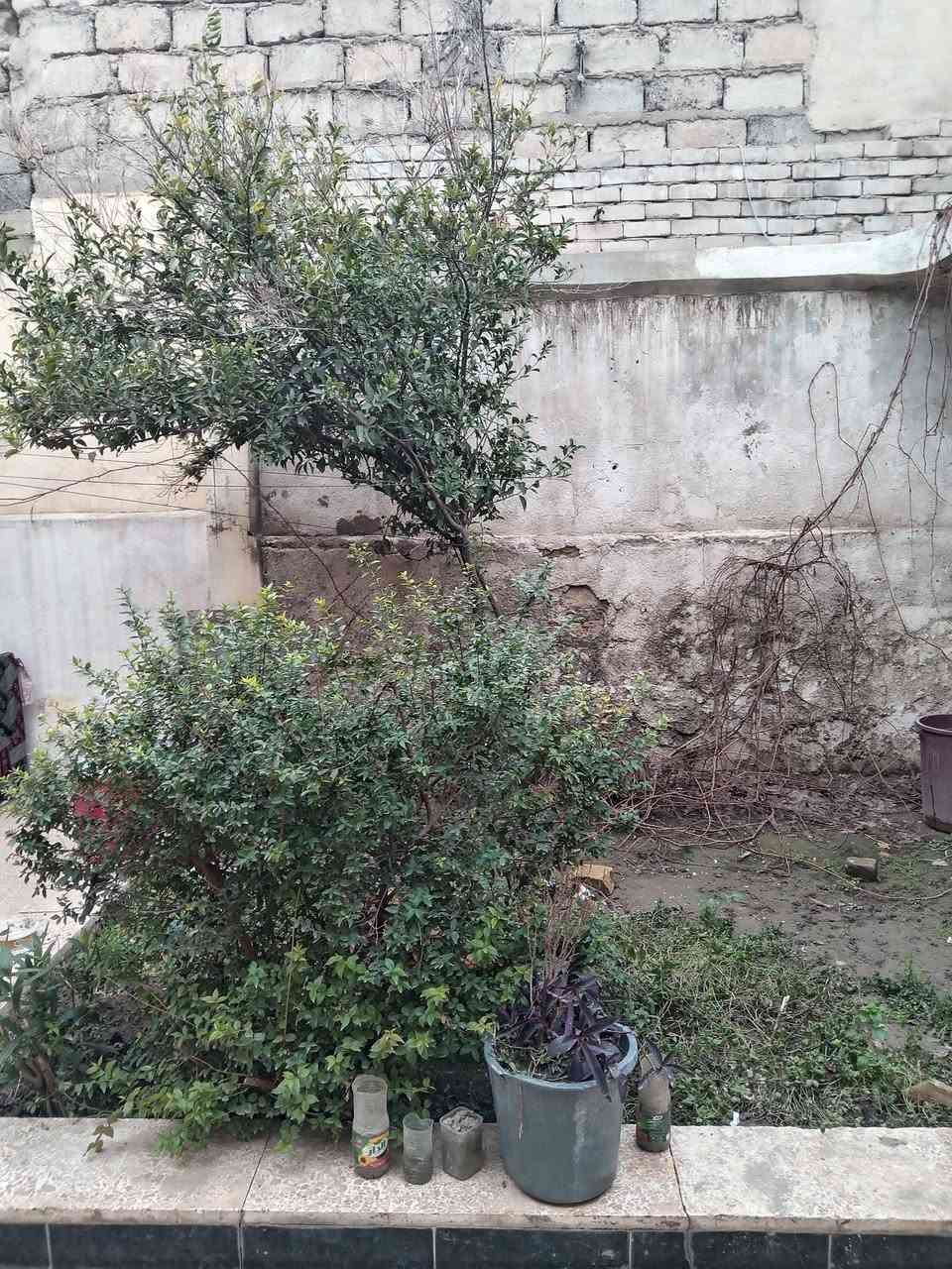 ،،،🏫،،،   بيت ،،،🏤،،،للايجار حي البكر شارع المنظمة
(مساحه200م) غرفتين هول استقبالين كاشي سقوف ثانوي 
للاستفسار الاتصال على الرقم☎️📞
***********
او مراجعة مكتب🏡 المازن  ♏ حي البكر شارع المنظمة قرب مركز التاميم
