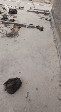 رفت مساحة 50متر  للبيع 
 ((طابو ملك صرف)) 

العنوان / بغداد الحسينيه منطقه ال 12 بداية السكلات   موقع جميل 
بسعر   19  

للتواصل / *********** 
مكتب الأسكان 🏦
