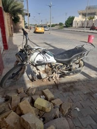 شغاله • سلف • اوراق ضايعه