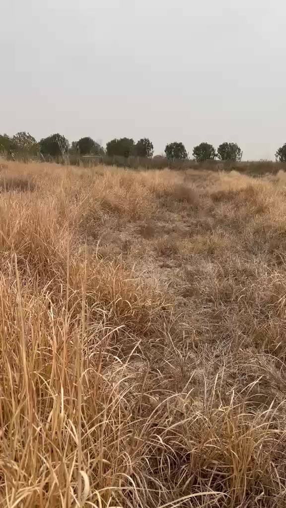 السلام عليكم بودي انجليزي مال دراج كامل مواصفات ***********
